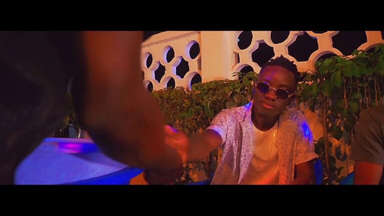 POSEMENT, Clip Officiel de Kizis